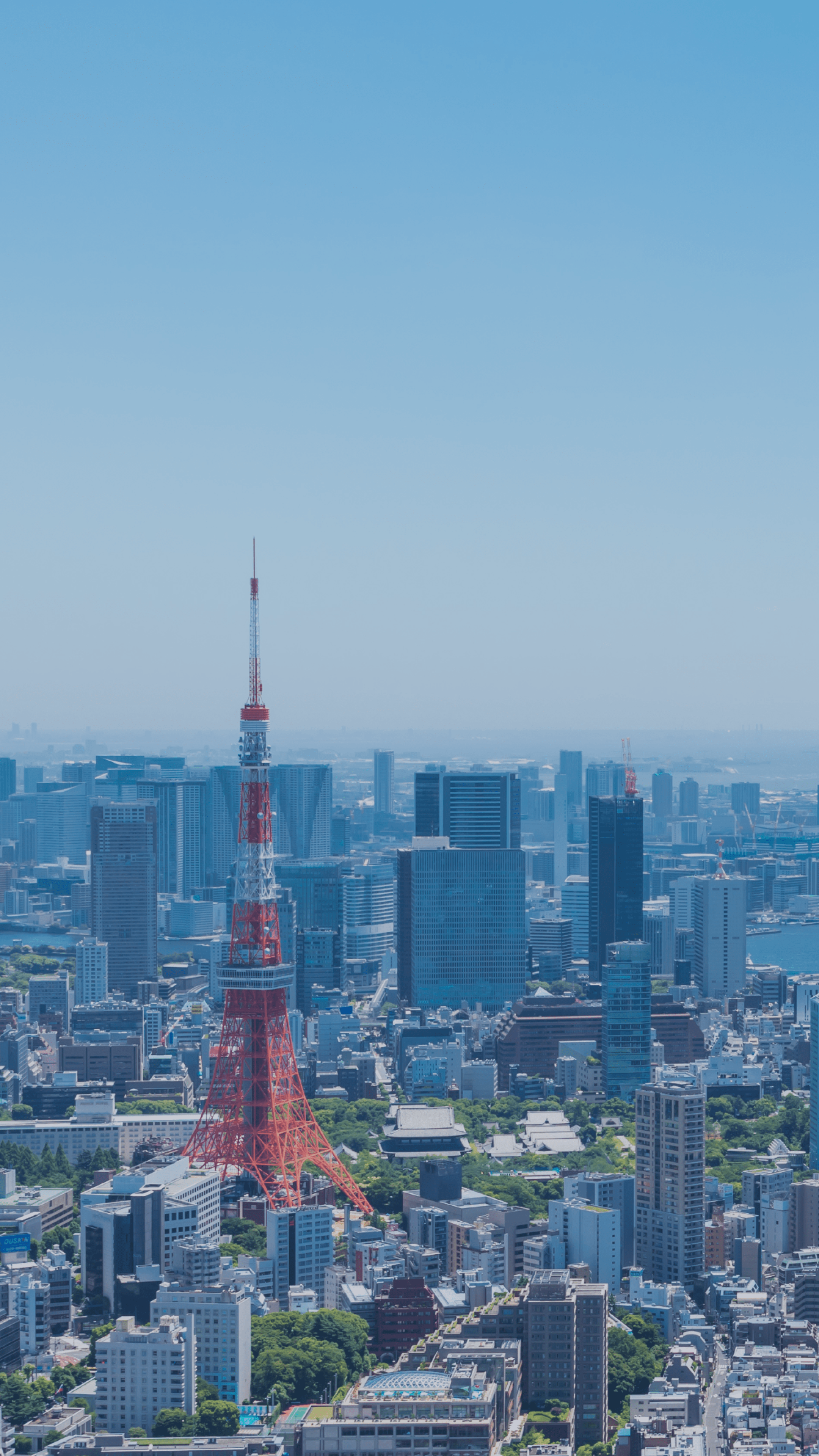 オフィスエリアの町並み